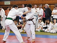 DSC_3042.jpg