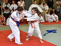DSC_3870.jpg