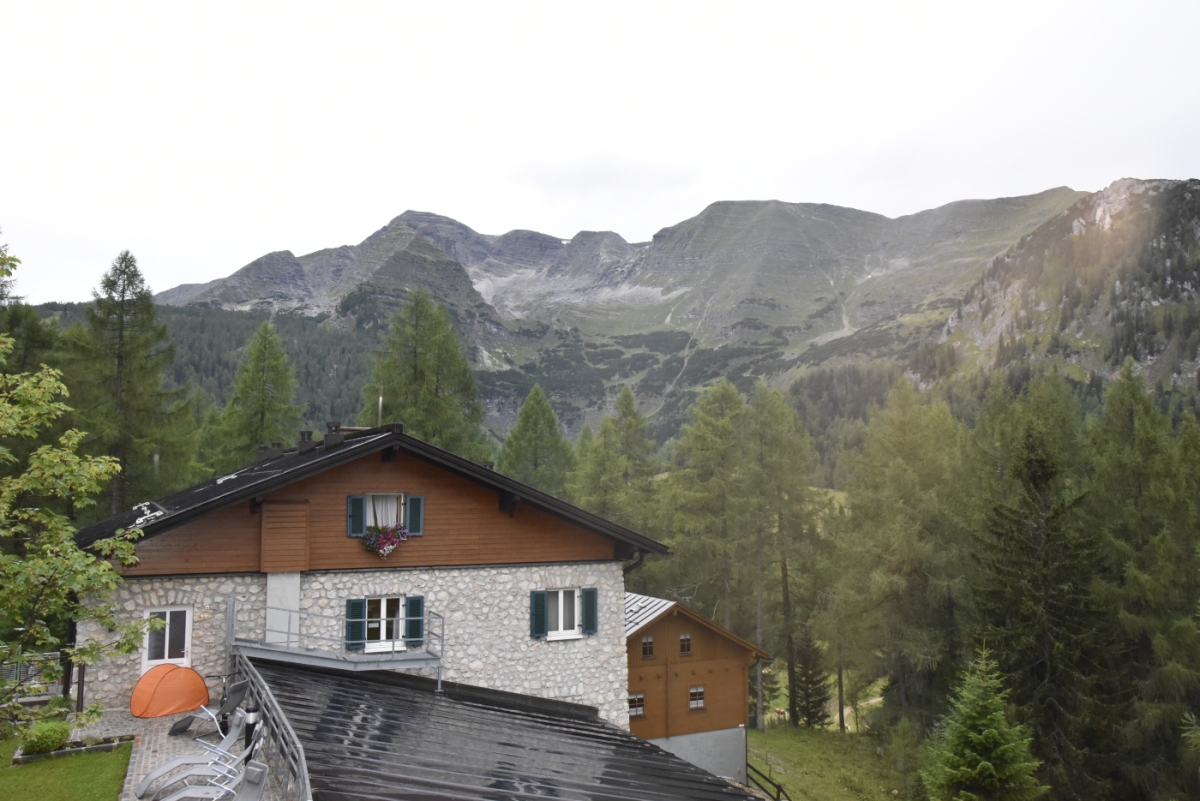 _DSC7868.jpg