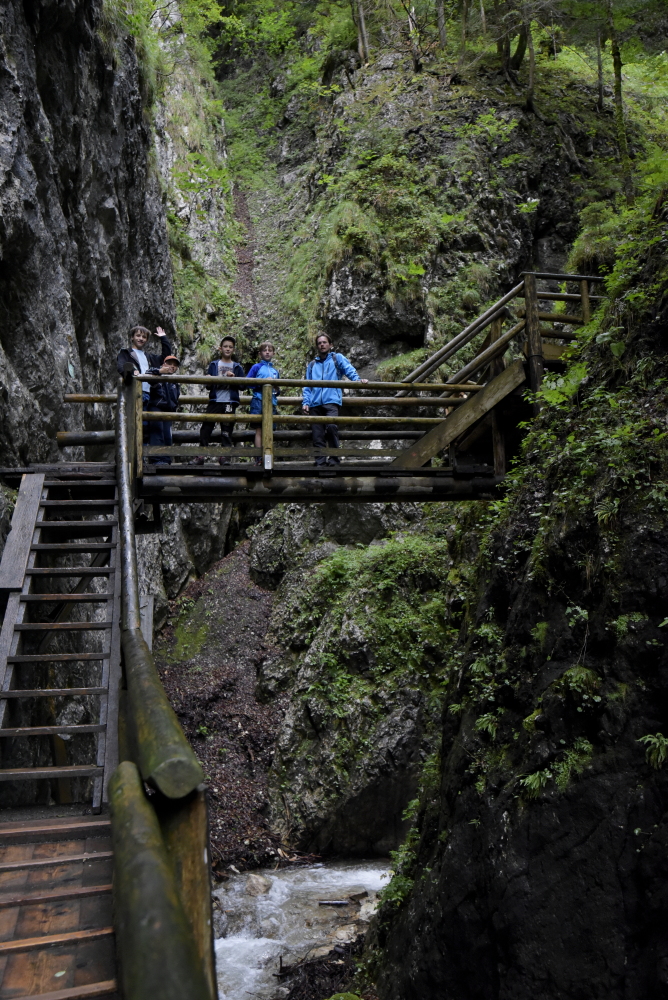 _DSC8045.JPG