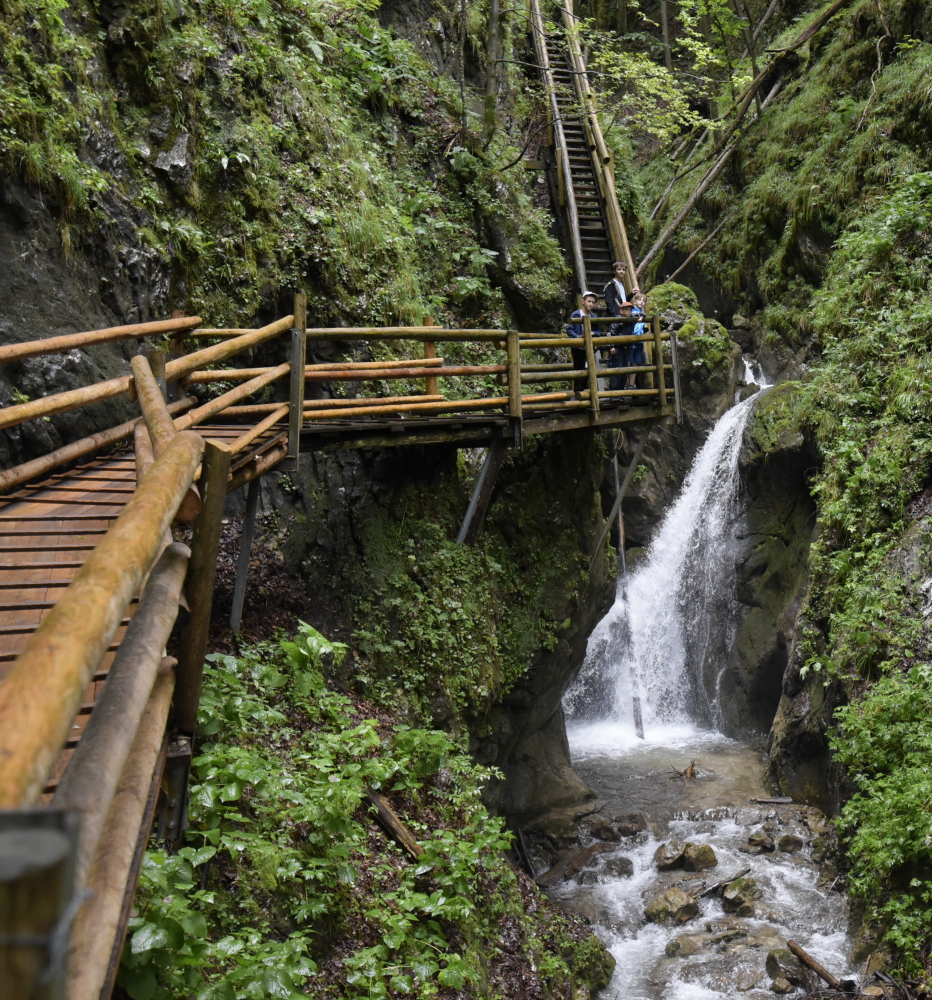 _DSC8081.JPG