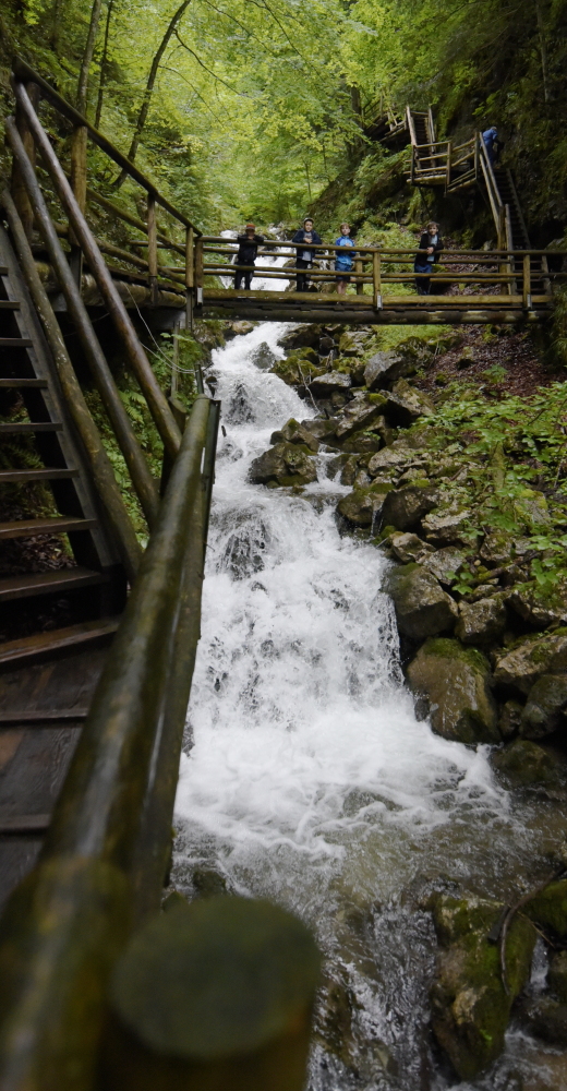 _DSC8095.JPG