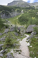 _DSC7209.JPG