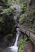 _DSC8026.JPG