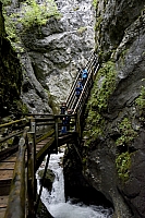 _DSC8028.JPG