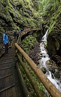 _DSC8074.JPG