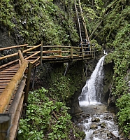 _DSC8081.JPG