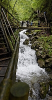 _DSC8095.JPG