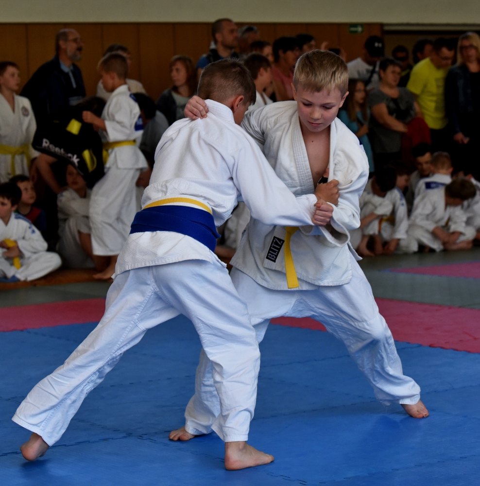 DSC_1815.jpg