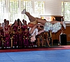 DSC_1795_2.jpg