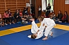 DSC_2994.jpg