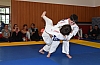 DSC_2997.jpg