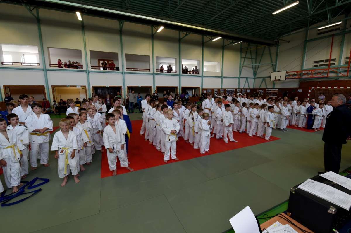 DSC_3464.jpg