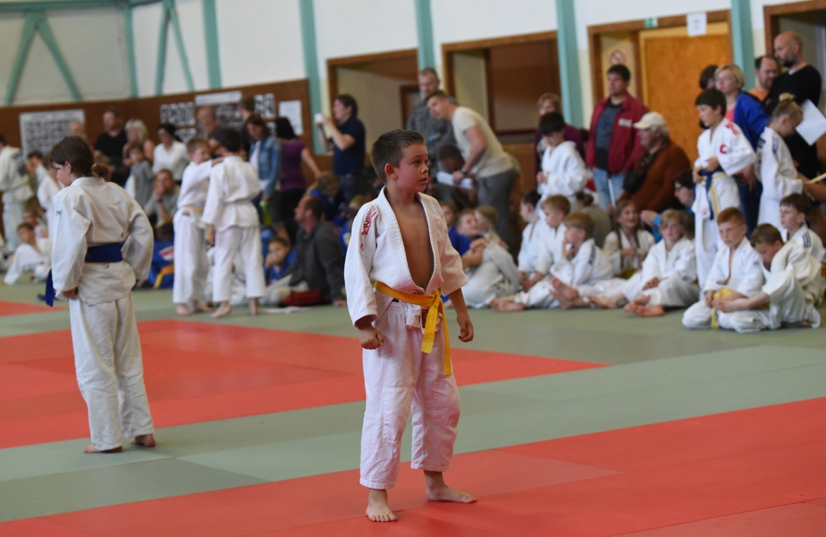 DSC_3500.jpg