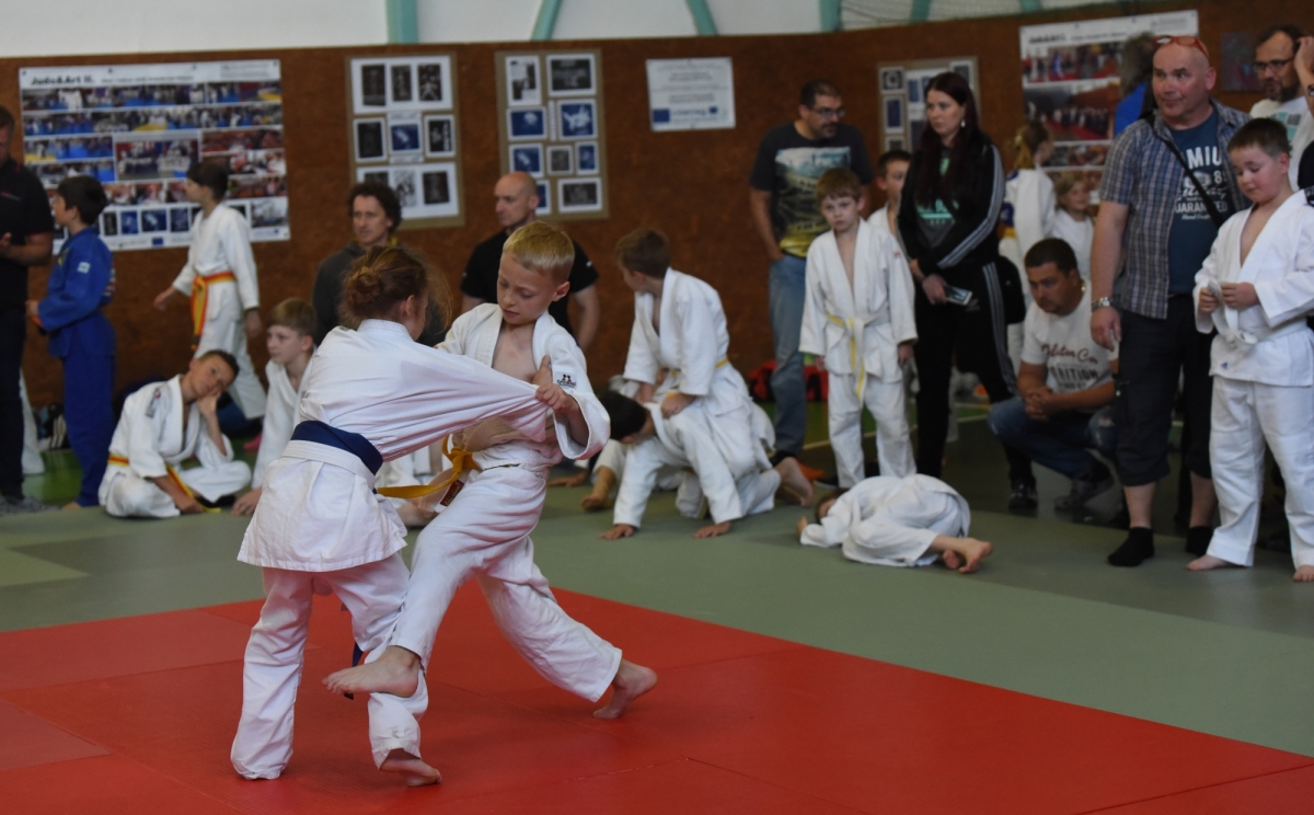 DSC_3530.jpg