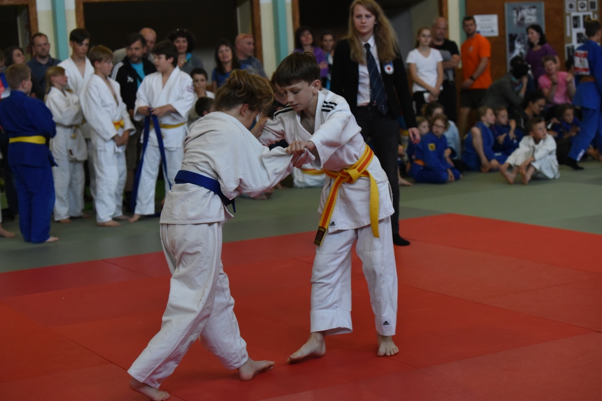 DSC_3536.jpg