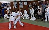 DSC_3530.jpg