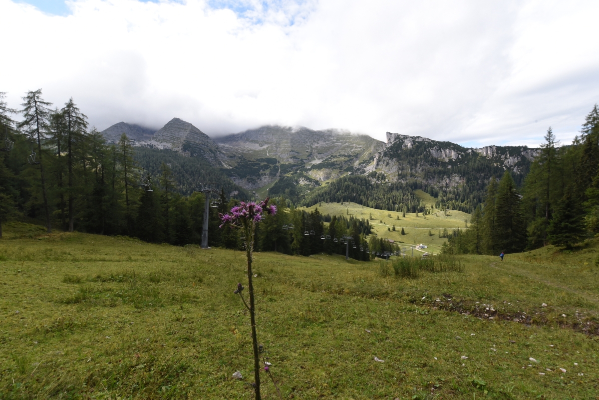 DSC_7796.jpg
