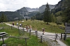 DSC_7563.jpg