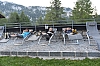 DSC_8080.jpg