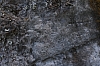DSC_8520.jpg
