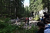 DSC_8537.jpg