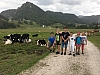 IMG_1908.jpg